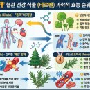 푸름약국 | 내 몸의 고속도로를 청소하는 테르펜의 비밀: 솔잎부터 은행잎까지 완전정복