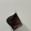 로얄 동물 | [반려동물 사료] 로얄캐닌 샘플 무료 체험 이벤트 후기