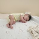 레이디본 | 범퍼침대 vs 데이베드 직접 써본 비교 후기, 레이디가구 코쿤 선택한 이유