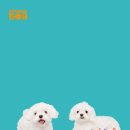 스튜디오509 이미지