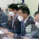 민주당 "방귀뀐 놈이 성낸다".. '대장동 의혹' 국조·특검 거부 이미지