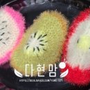 오늘에과일