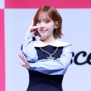 메이 티브이데일리