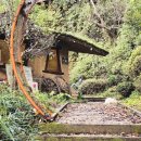 박터진 흥부네 이미지