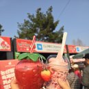 강진-37 | 2026 논산딸기축제 아이랑 가기 좋은 봄 축제 꿀팁 리얼 후기