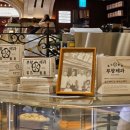 호두미디어 이미지