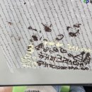 양청초등학교 이미지