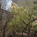 한경행정사사무소 이미지