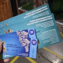 RR-49[구이로]-하-1 | [치앙마이여행] #5 줏대있게 코끼리 만지고 소원빌고 크리스피 로띠 먹었으면 좋겠어