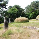 연안부부인전씨묘 이미지