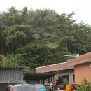 아름드리민박 이미지