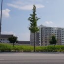 코아루웰가공인중개사사무소 이미지