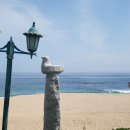 바다정원 이미지