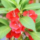 선안요양병원 이미지