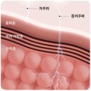 엠투웬티 | 테크 뷰티 실험실 #01 M20 마요홈 EMS 홈트 단독 분석 리포트