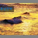 동해펜션민박 | 강원도 묵호 동해 숙소 펜션 동남민박 동해 숙소의 새로운 선택