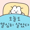 베이프디토 이미지