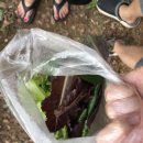 딴바위 펜션 이미지