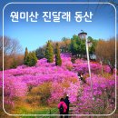 봄꽃 ||| 진해 벗꽃구경 이미지