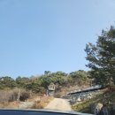 평강여관 | [충북/단양] 겨울의 단양 여행 2탄 /구름위의산책카페/온달관광지/온달동굴 입장료 관람시간 후기