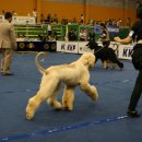 강서구-88 이미지