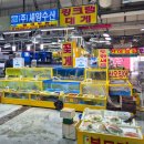 안강식자재활어센타 | 안산 오징어회 포장 맛집 농수산물도매시장 독도수산 내돈내산
