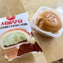 지에스25구의법원점 | 내돈내산 GS25편의점 신상빵추천:서울우유 초코칩피스타치오크림빵 솔직후기