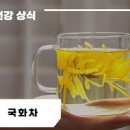 국화차 효능 부작용 국화차의효능 이미지