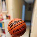 Wilson웰슨 에볼루션 어드밴스드 마이크로파이버 컴포지트 농구공 후기