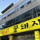 원대꿀돼지