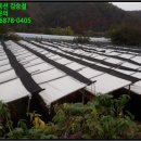 조양리마을회관 이미지
