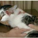 동광주약국 이미지