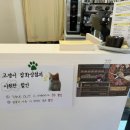 고양이잡화상점