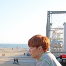 설렘투어