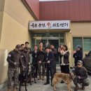 육군 군견훈련소 이미지