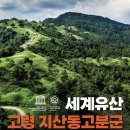 대가야박물관 이미지