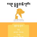 더원동물의료센터 이미지