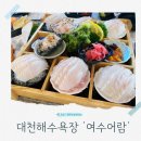 대천해수욕장맛집 오션뷰와 역대급 스끼다시에 반한 여수어람 솔직후기