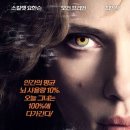 (주)루시미디어 이미지