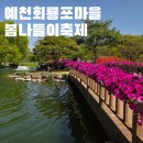 배꽃피는마을민박 | 예천 회룡포 봄나들이 축제 현장 정보 후기 꽃잔디 청보리 풍경 뿅뿅 다리