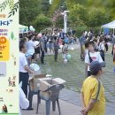 하모니 오브 뮤지컬 이미지