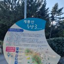 계룡산등산로(거제면) 이미지