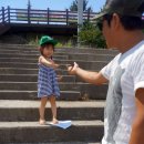 개미들솔향기야영장 이미지