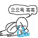 월수금통돼지 이미지