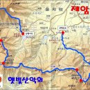 5월 첫째주 보성 일림산(687.5m) 철쭉 산행 이미지