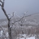 싸이트 이미지