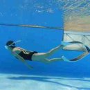 씨유프리다이빙 이미지