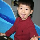 화이트 타이거 태권도 이미지