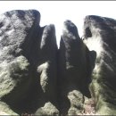 영신숲길2 이미지