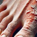 삼산대한약국 이미지